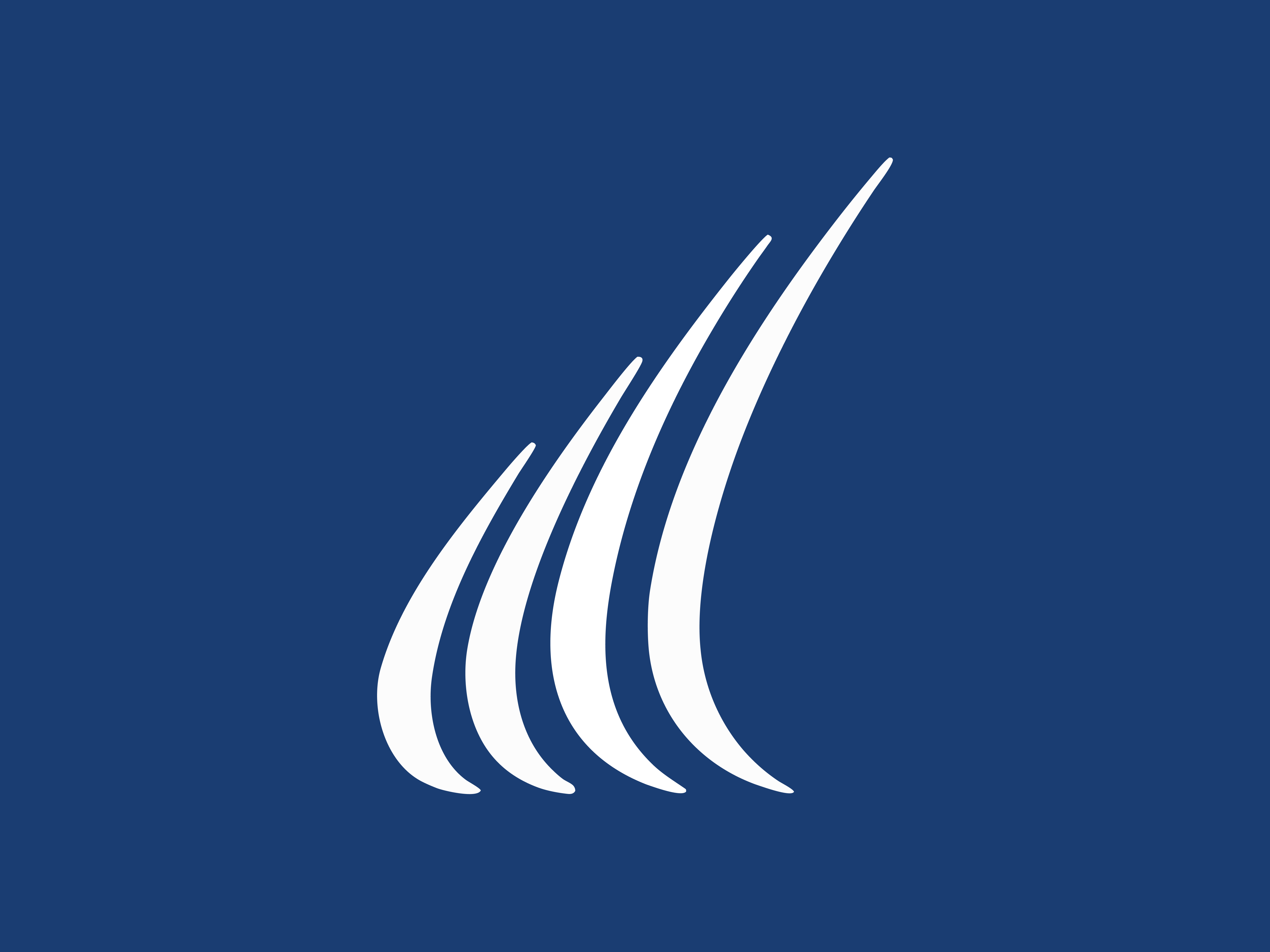 PoliTO Sailing Team logo